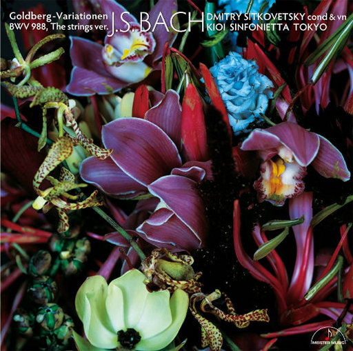 三年片国语免费观看影视大全明星
